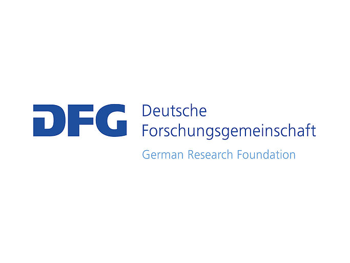 DFG Logo